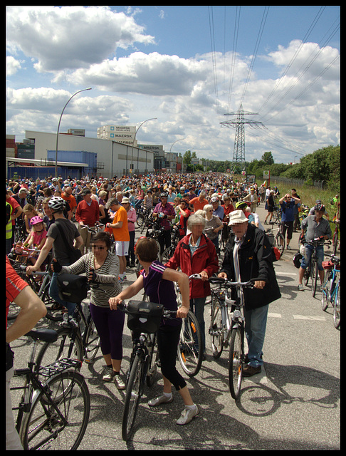 Fahrrad - Sternfahrt 2014, Hamburg