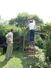 installation of guinea roost