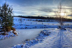 Sun beginning to set over the pond 4216098294 o