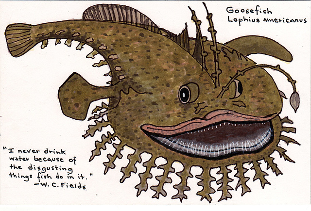 "I never drink water..." (Goosefish)