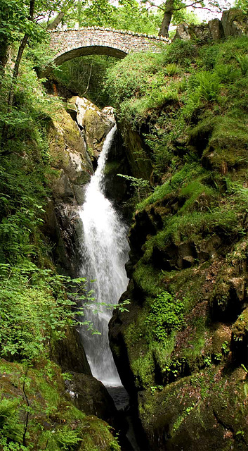 Aira Force