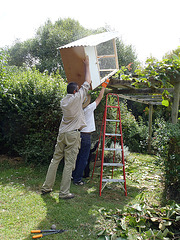 installation of guinea roost