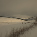 Scenes from the A96 - 31 12 2009