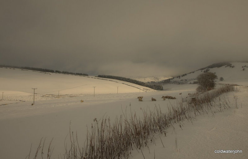 Scenes from the A96 - 31 12 2009