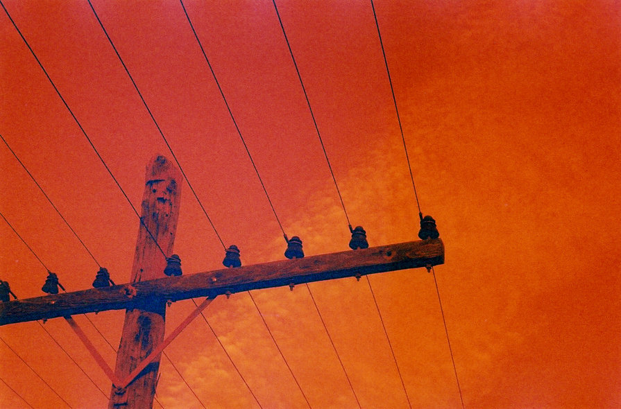 orange crush