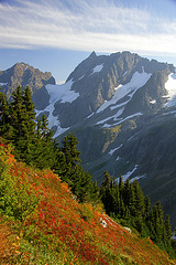 Pelton Peak and Magic Mountain from Sahale Arm