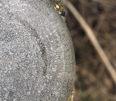 Sub-zero bird-bath cleaning