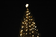 Trafalgar Square christmas tree