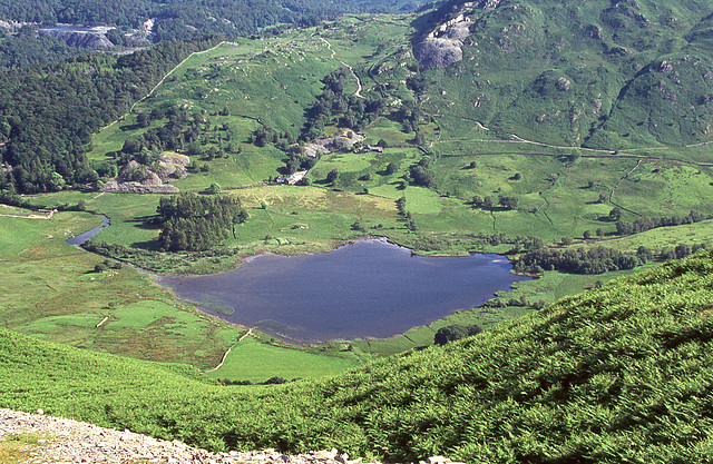 Little Langdale Tarn