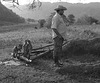 Cuban Farmer with Goats