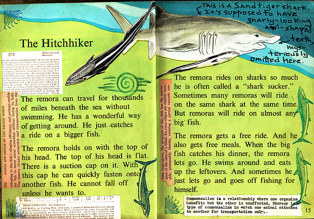 altered children's book about fish: remoras pp. 1-2