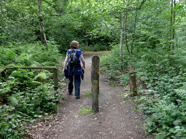 Through Petts Wood