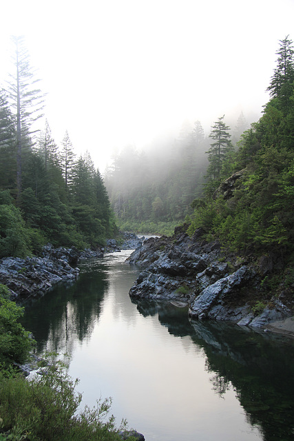 Smith River Misty Morning