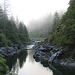 Smith River Misty Morning