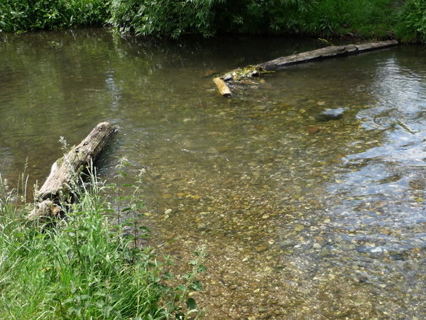 River Cray