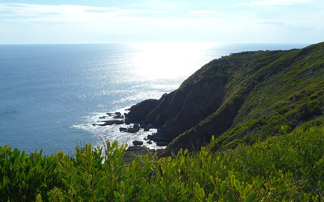 Cape Liptrap