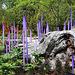 Reeds on Logs