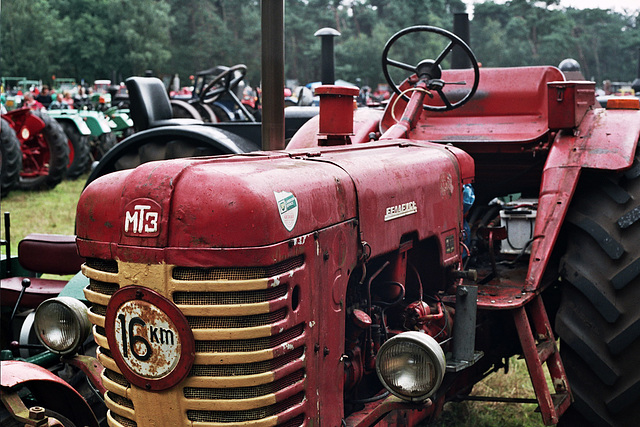 Visiting the Oldtimer Festival in Ravels, Belgium: Belarus MTZ  | Беларусь МТЗ tractor