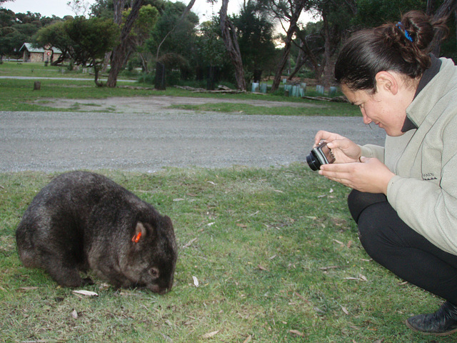 Lena and the wombats