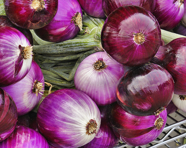 Red Onions – Jean Talon Market, Montréal, Québec