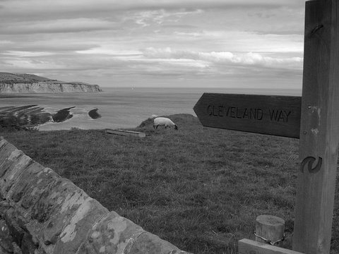 Towards Robin Hoods Bay