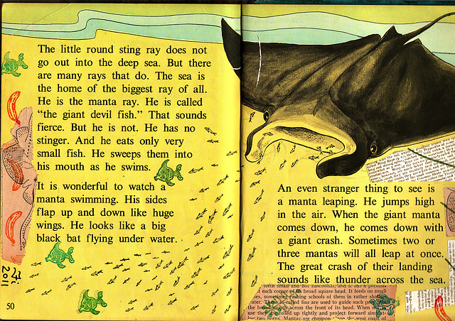 altered children's book about fish: rays pp. 3-4
