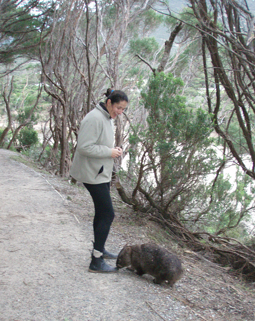 Lena and the wombats