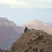 grand canyon 233