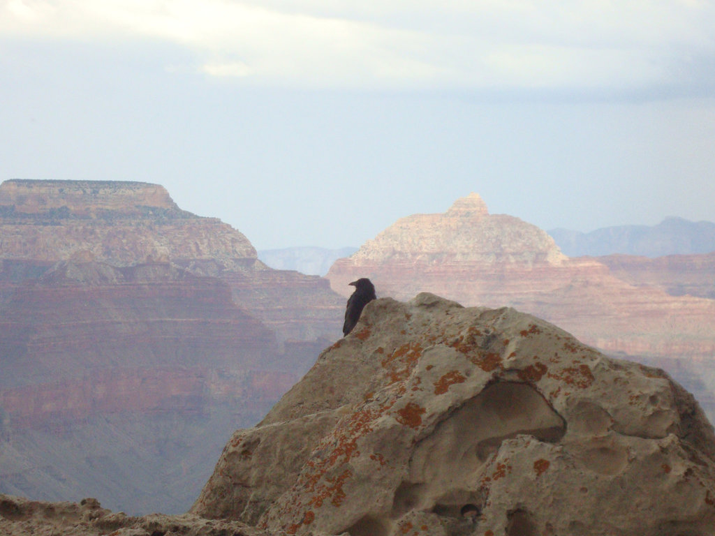 grand canyon 233