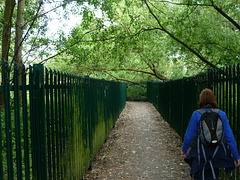 Fenced path