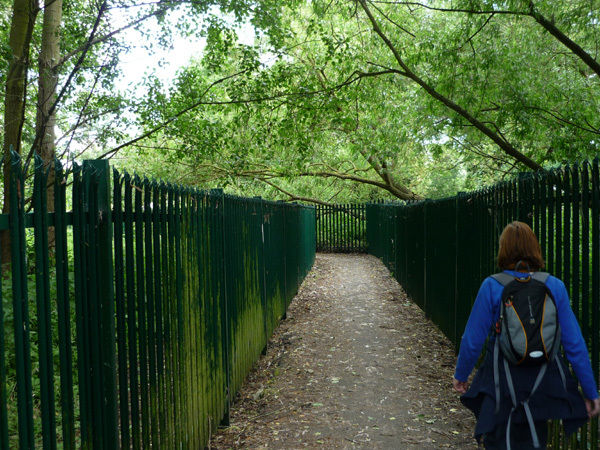 Fenced path