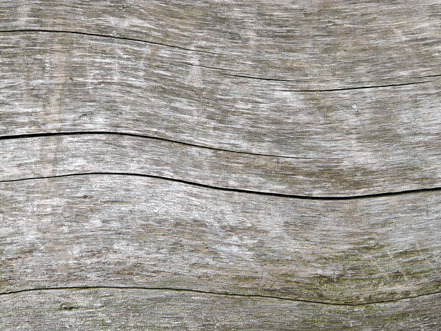 Dry Wood Texture