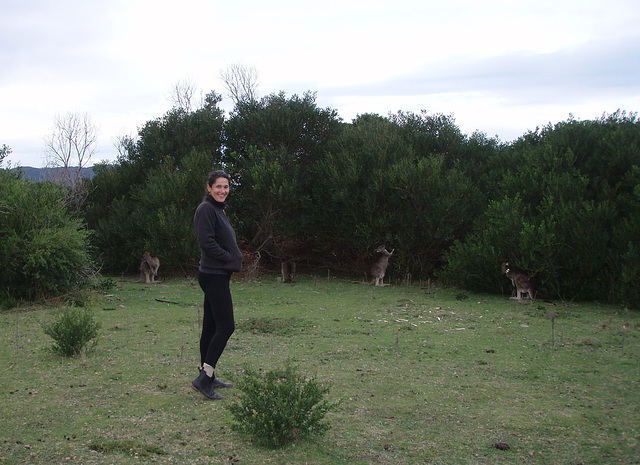 Eastern Greys at Wilsons Prom