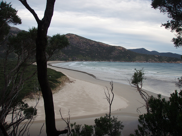 Norman Beach