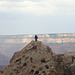 grand canyon 226