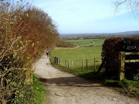 A Chiltern View