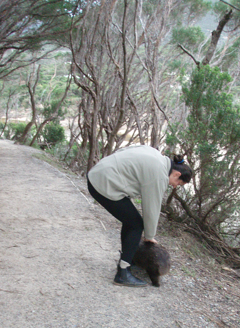 Lena and the wombats