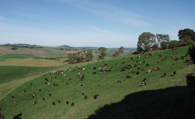 view from our driveway