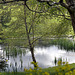 Spring afternoon by the pond 4591753043 o
