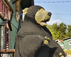 Not Your Average Teddy Bear – Hoss's Country Corner Store, Long Lake, New York