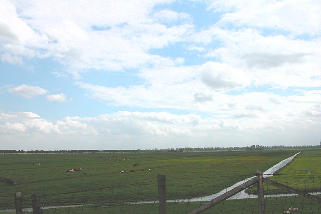 A day in the country: flat Dutch countryside