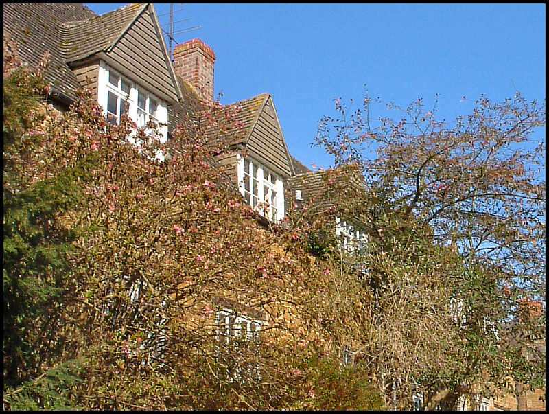windows in spring
