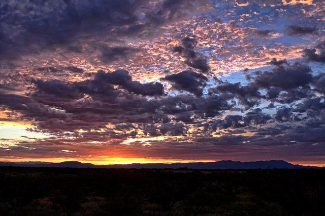 Sunrise over the Mules