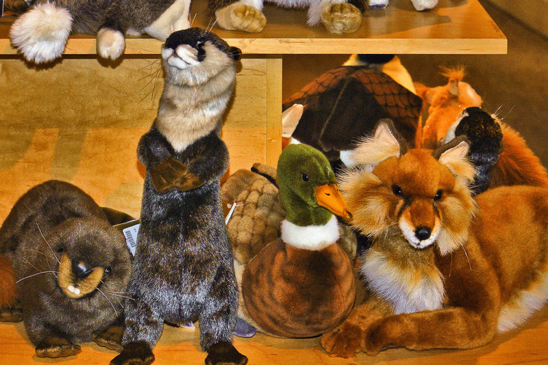 Gift Shop Menagerie – The Wild Center, Tupper Lake, New York