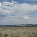 Very Large Array National Radio Astronomy Observatory 2349a