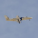 United States Customs Service Cessna Citation N6775C