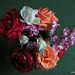 Summer Garden Roses