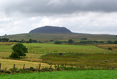 Happy St. Patrick's Day from Slemish