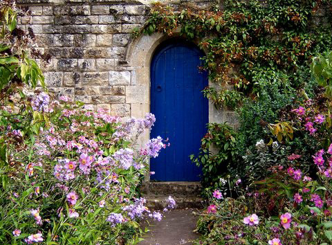 What's Beyond the Blue Door?