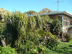 our house in the spring sunshine